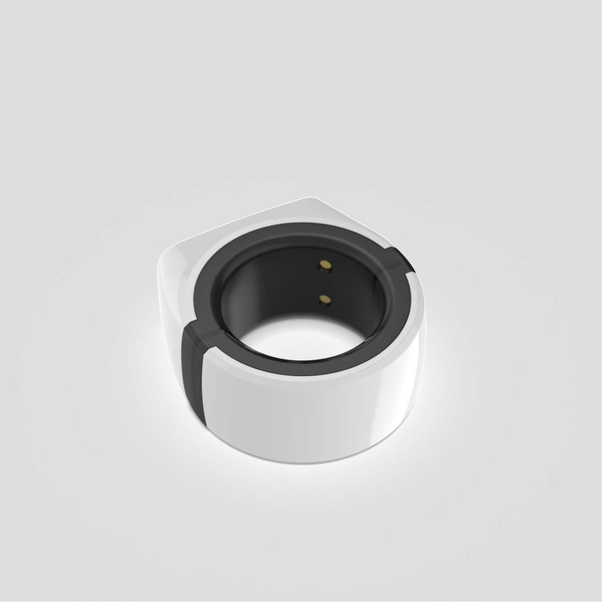 NM-Ring Bottom Sensor